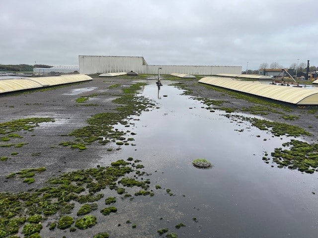 Drachten | Voor dak, gevel en totaalbouw