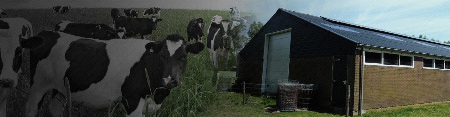 Eternit golfplaten | Voor dak, gevel en totaalbouw